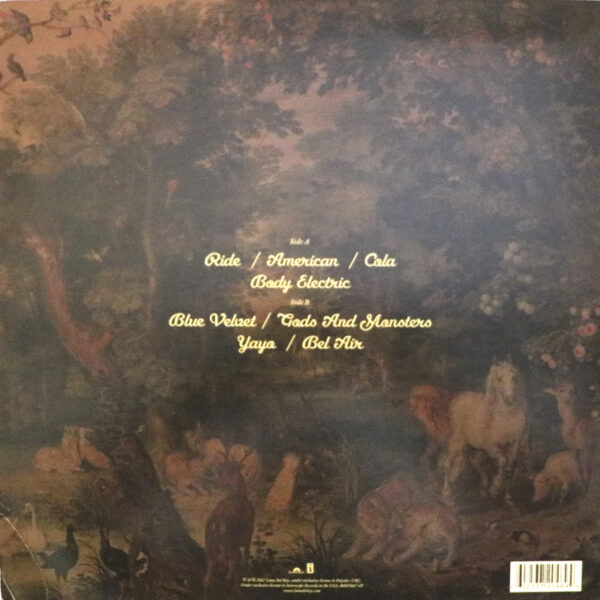 discosmall_0006_IMG_3306